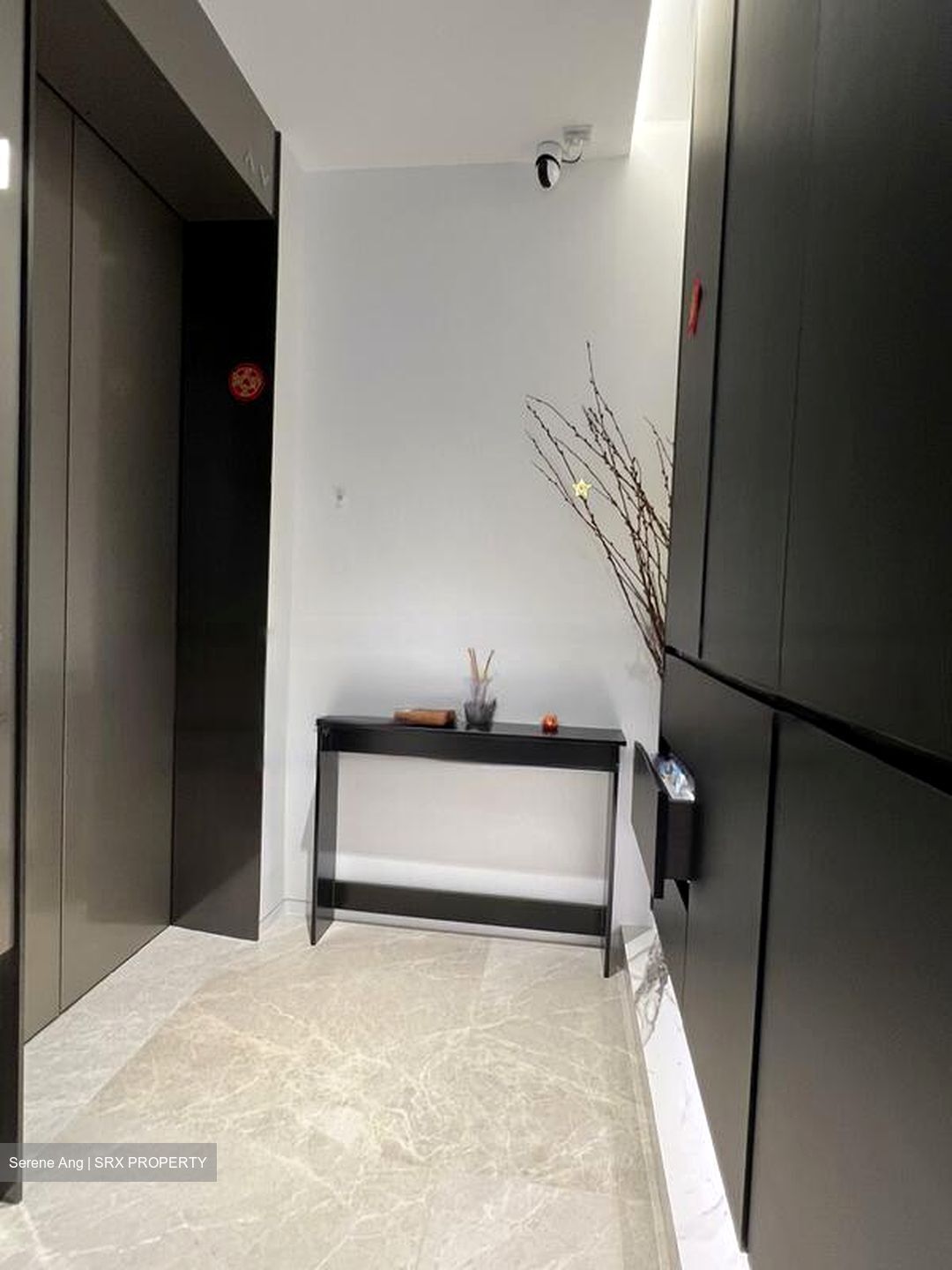 Amber Park (D15), Condominium #453639301